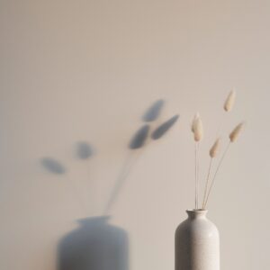 Dried natural bunny tails in vase at sunset. White wall on background. Boho style home decoration